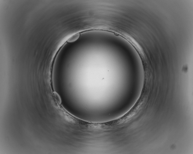 X0000100370956200806061152