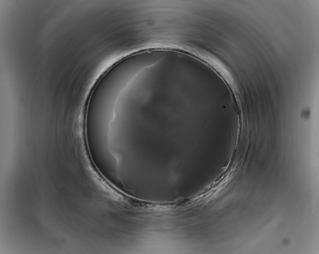 X0000100370958200806061152