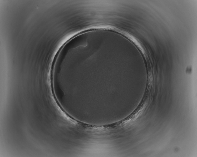 X0000100370959200806061152