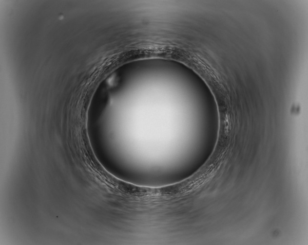 X0000100370961200806061152