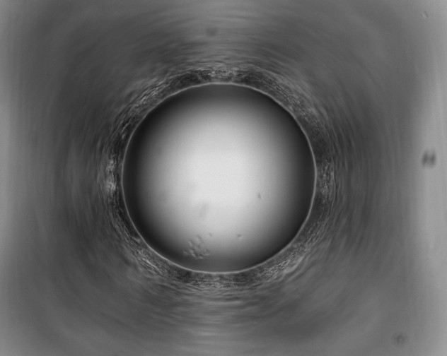 X0000100370962200806061152