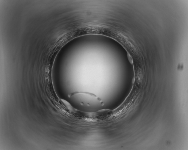 X0000100370964200806061152