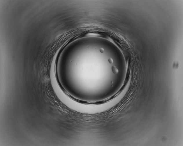 X0000100370965200806061152