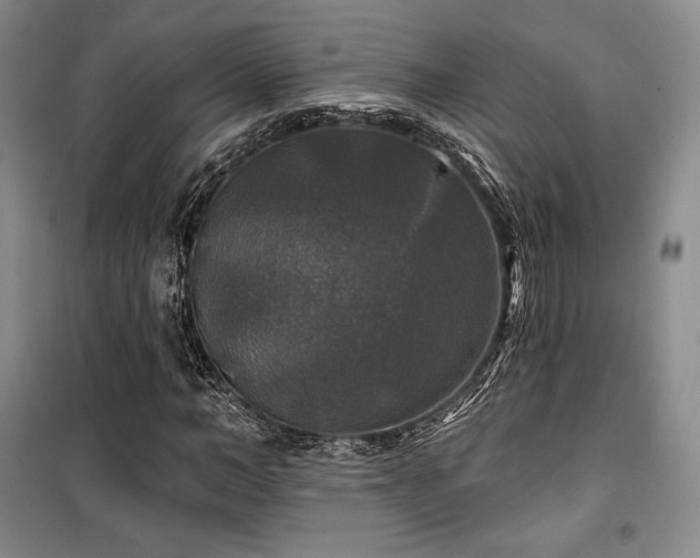 X0000100370966200806061152