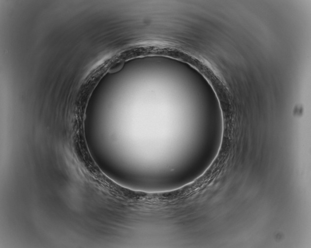 X0000100370967200806061152