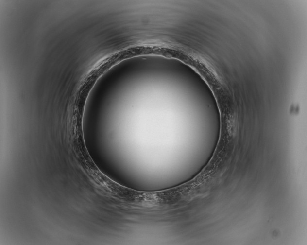 X0000100370968200806061152