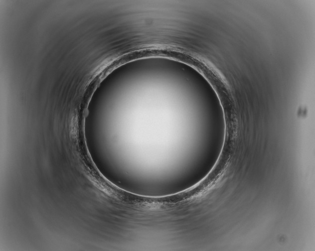 X0000100370969200806061152