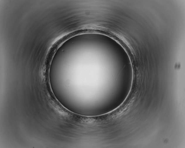X0000100370971200806061152