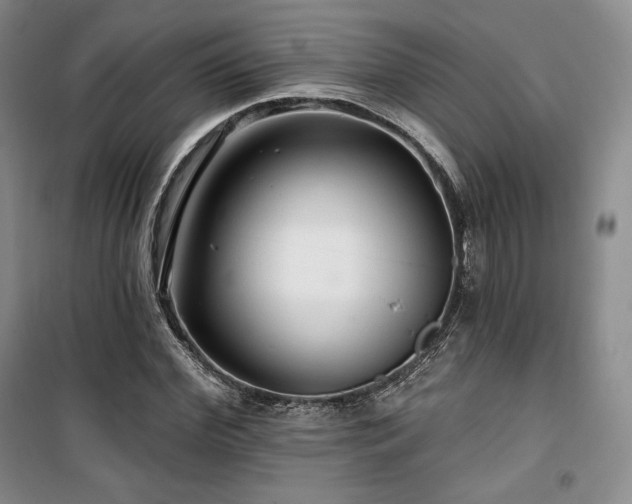 X0000100370972200806061152
