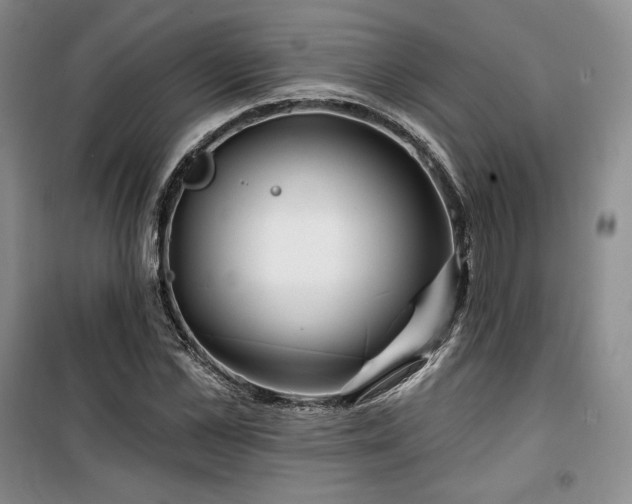 X0000100370973200806061152