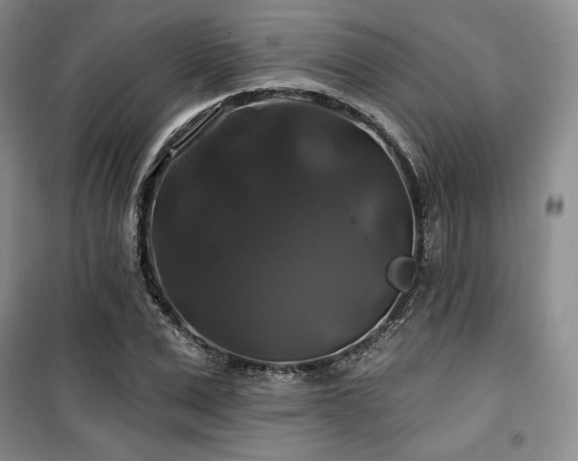 X0000100370975200806061152