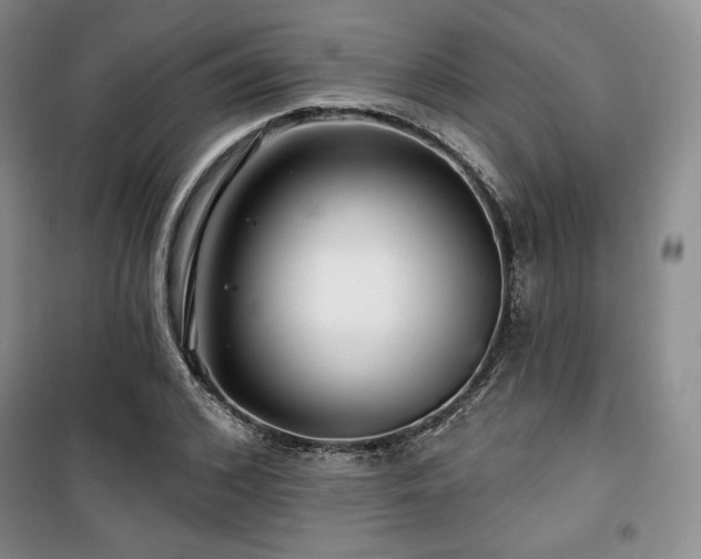 X0000100370976200806061152