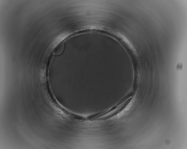 X0000100370977200806061152
