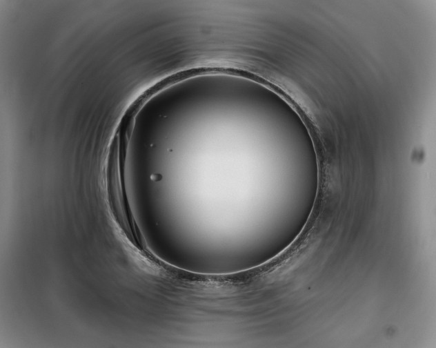 X0000100370980200806061151
