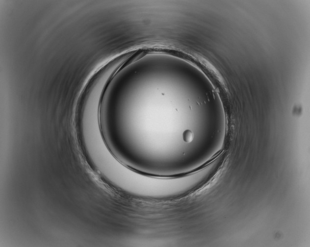 X0000100370981200806061151