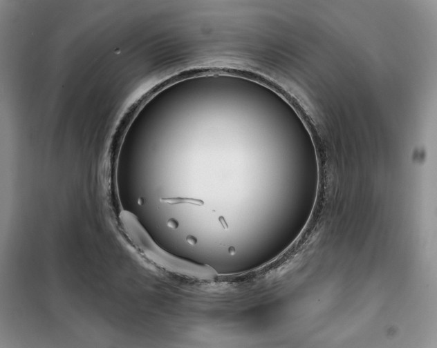 X0000100370982200806061151