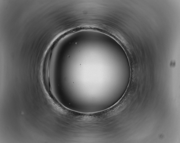 X0000100370984200806061151