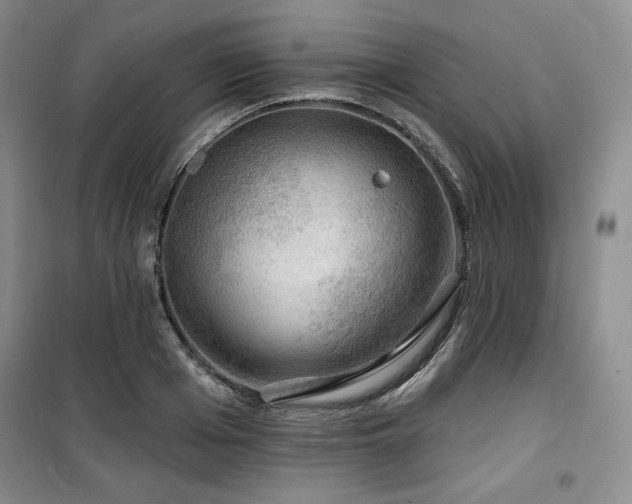 X0000100370985200806061151