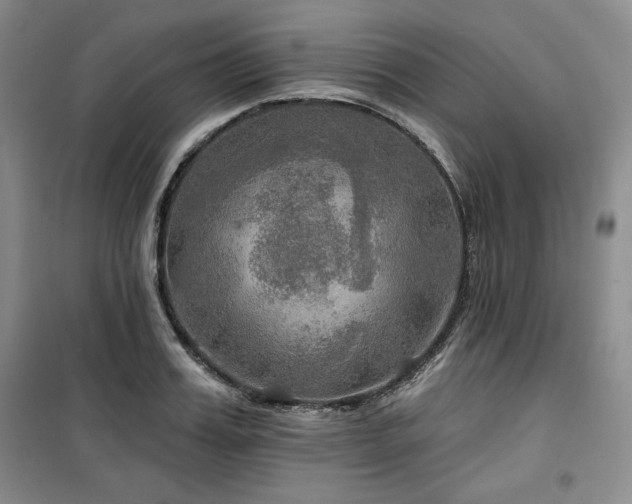X0000100370987200806061151