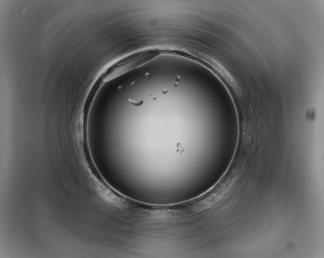 X0000100370988200806061151