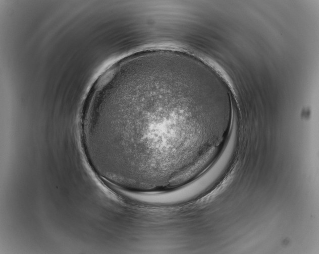 X0000100370989200806061151