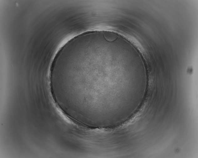 X0000100370990200806061151
