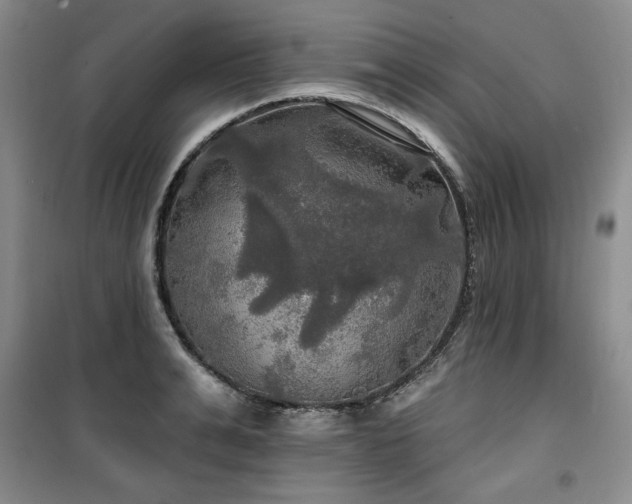 X0000100370991200806061151