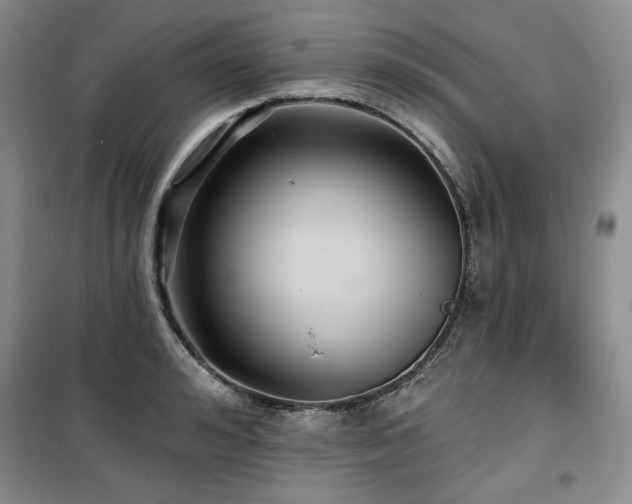 X0000100370992200806061151