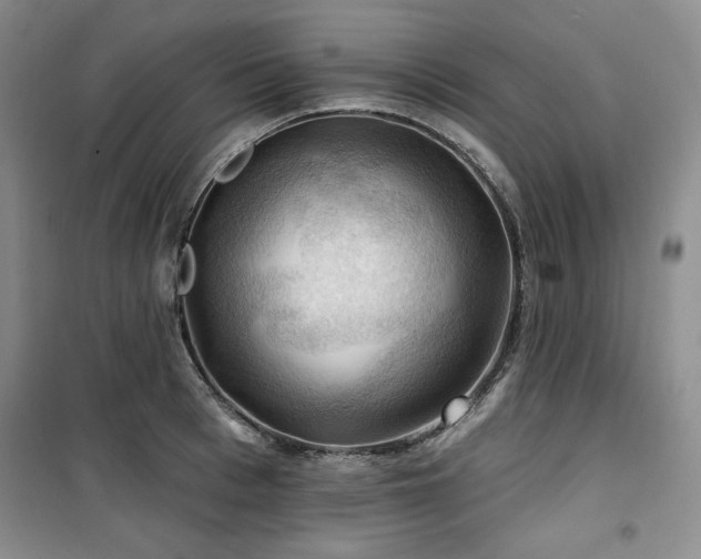 X0000100370993200806061151