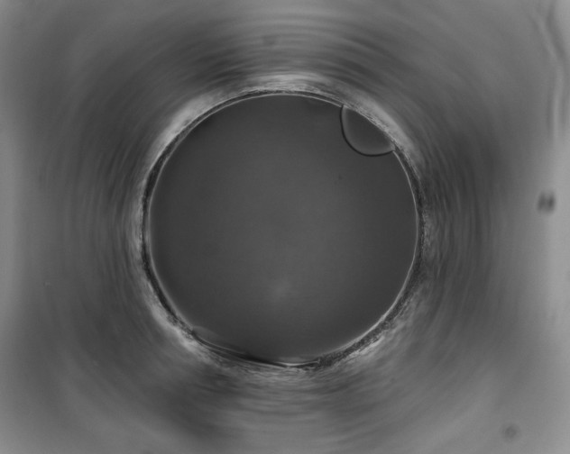X0000100370994200806061151