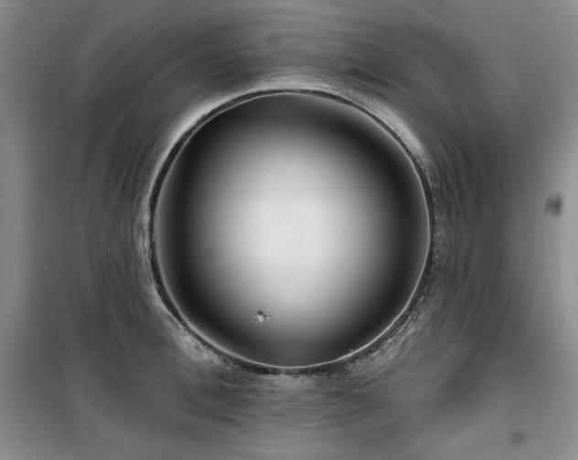 X0000100370996200806061151