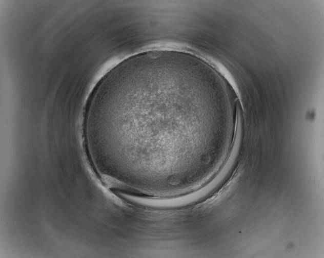 X0000100370997200806061151