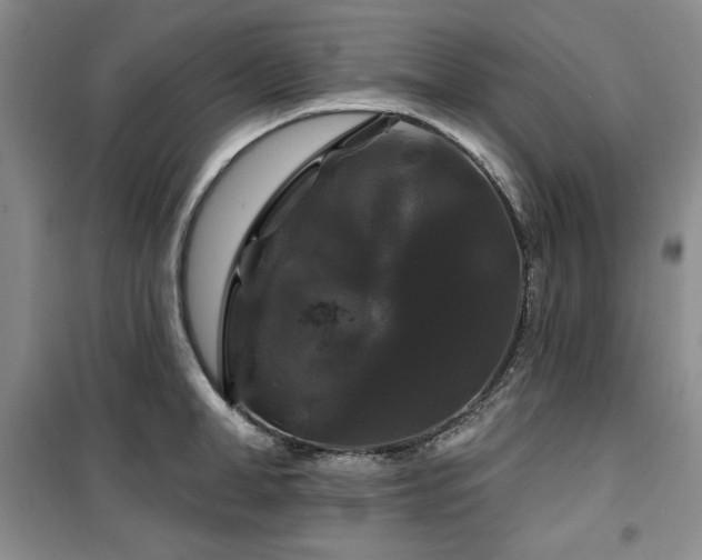 X0000100370998200806061151