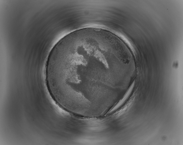 X0000100370999200806061151