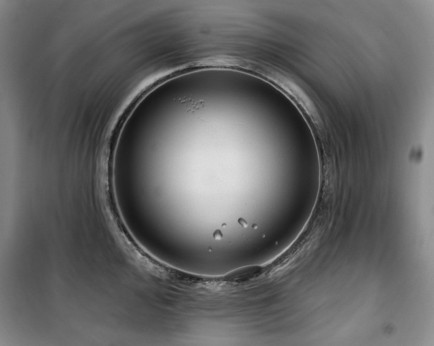 X0000100371000200806061151