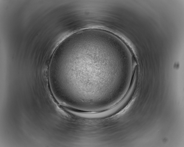 X0000100371001200806061151