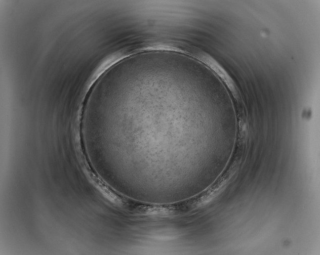 X0000100371002200806061151