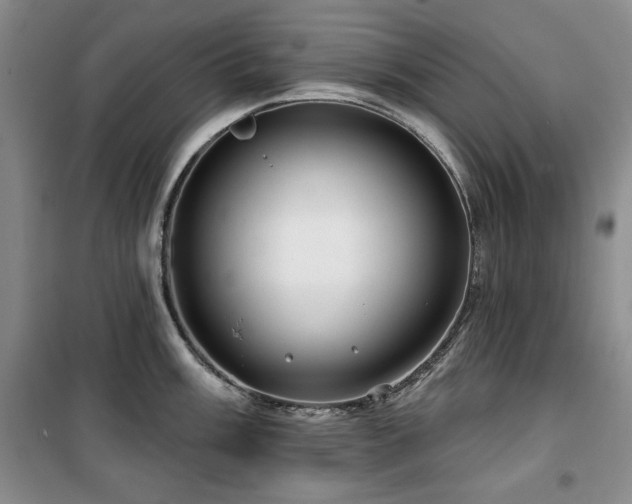 X0000100371003200806061151