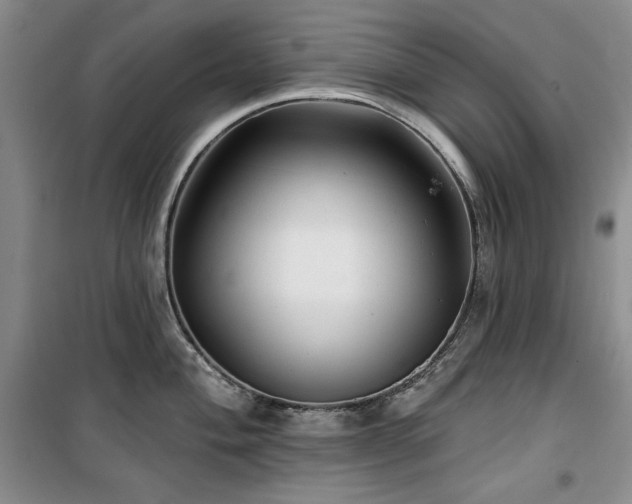 X0000100371004200806061151
