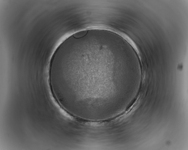 X0000100371005200806061151