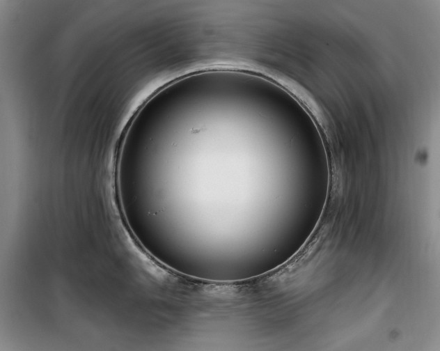 X0000100371006200806061151