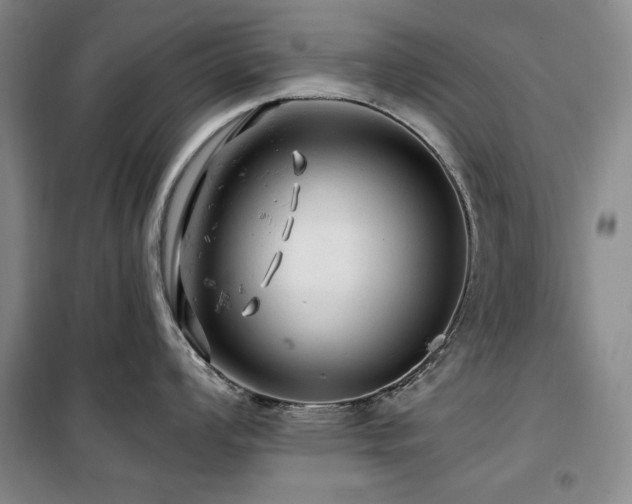 X0000100371008200806061151