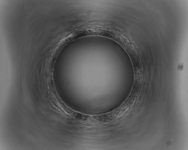 X0000100371009200806061150
