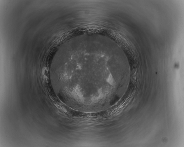 X0000100371010200806061150