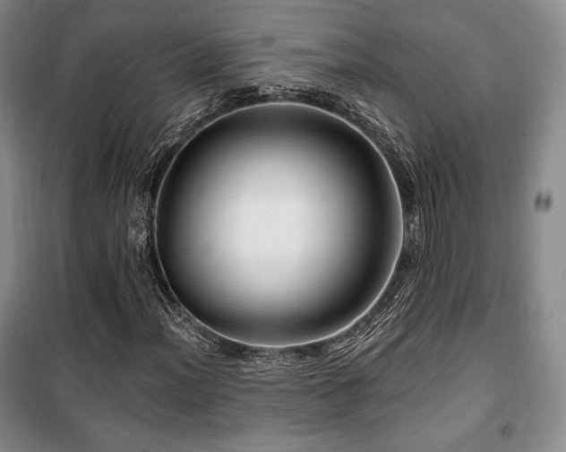 X0000100371012200806061150