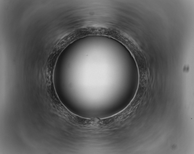 X0000100371013200806061150
