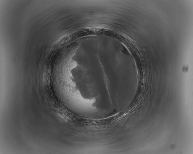 X0000100371014200806061151