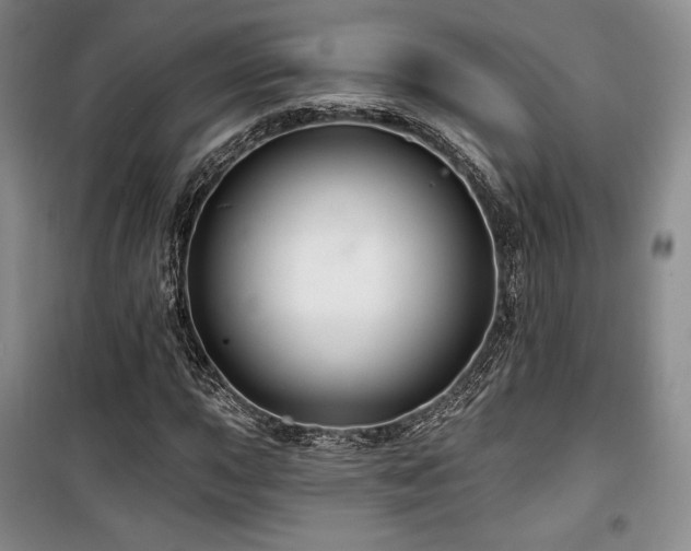 X0000100371015200806061151