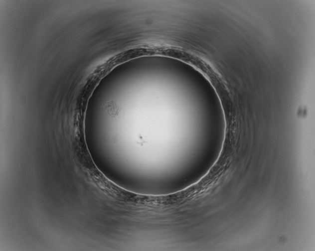 X0000100371016200806061151