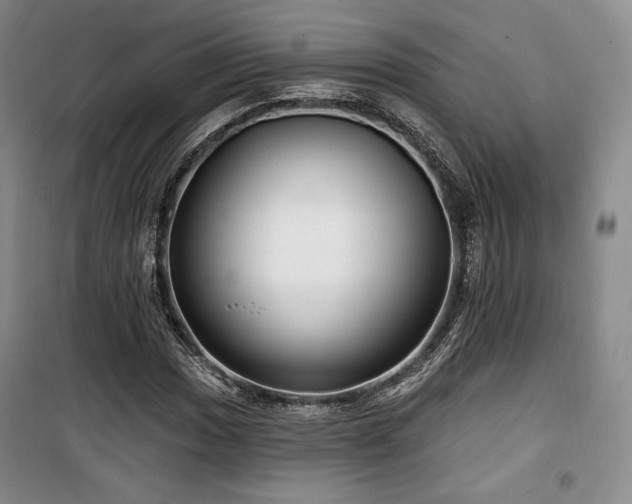 X0000100371017200806061151